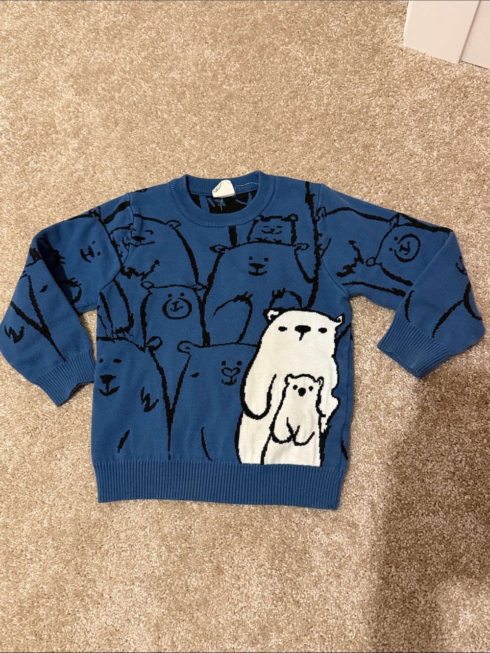 Blue Polar Bear Graphic Crewneck Sweater - Boys
